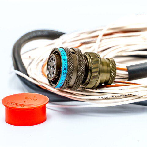 Image Not Found On Media Library