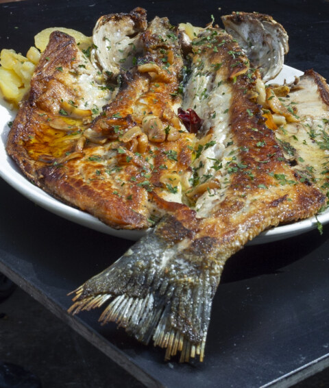 Image Not Found On Media Library