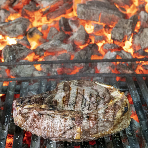 Image Not Found On Media Library