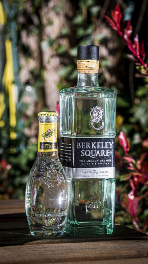 Image Not Found On Media Library