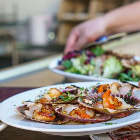 Image Not Found On Media Library