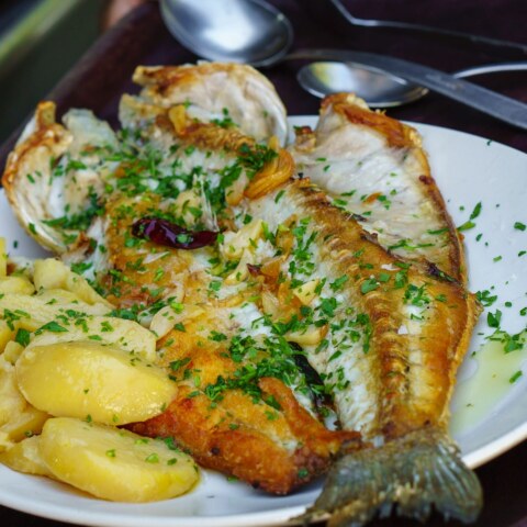 Image Not Found On Media Library