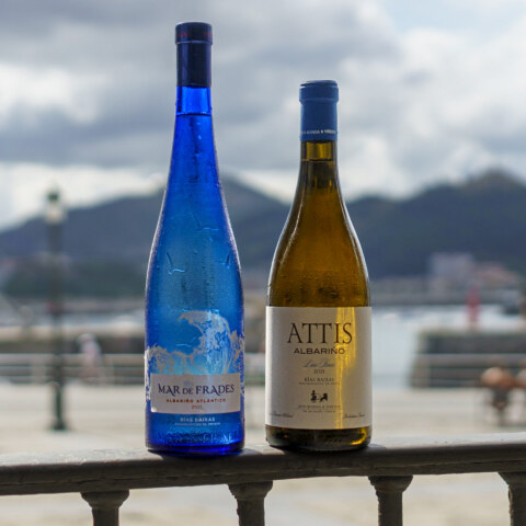 Image Not Found On Media Library