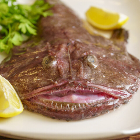 Image Not Found On Media Library