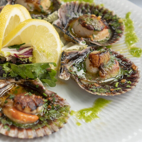 Image Not Found On Media Library