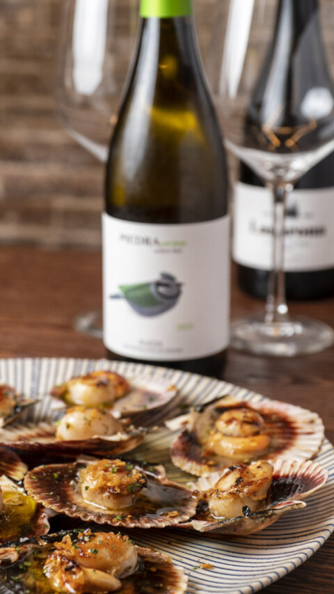 Image Not Found On Media Library